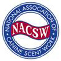 NACSW Logo
