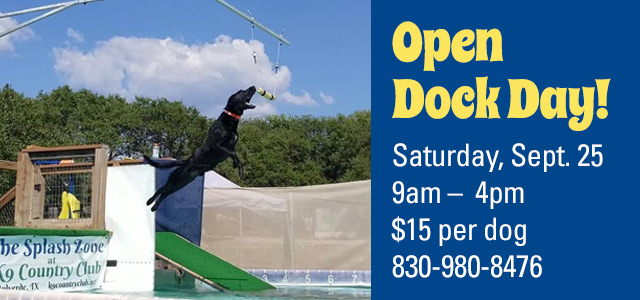 K9 Country Club Agility Herding Obedience And Boarding For Your Pets Just North Of San Antonio